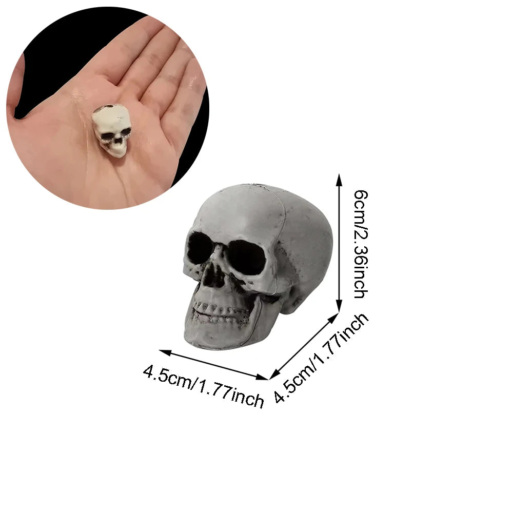 Halloween Skull Decoration,Realistic Plastic Skull,Head Skeleton,Halloween Party Home Yard Decoration,Haunted House Horror Props