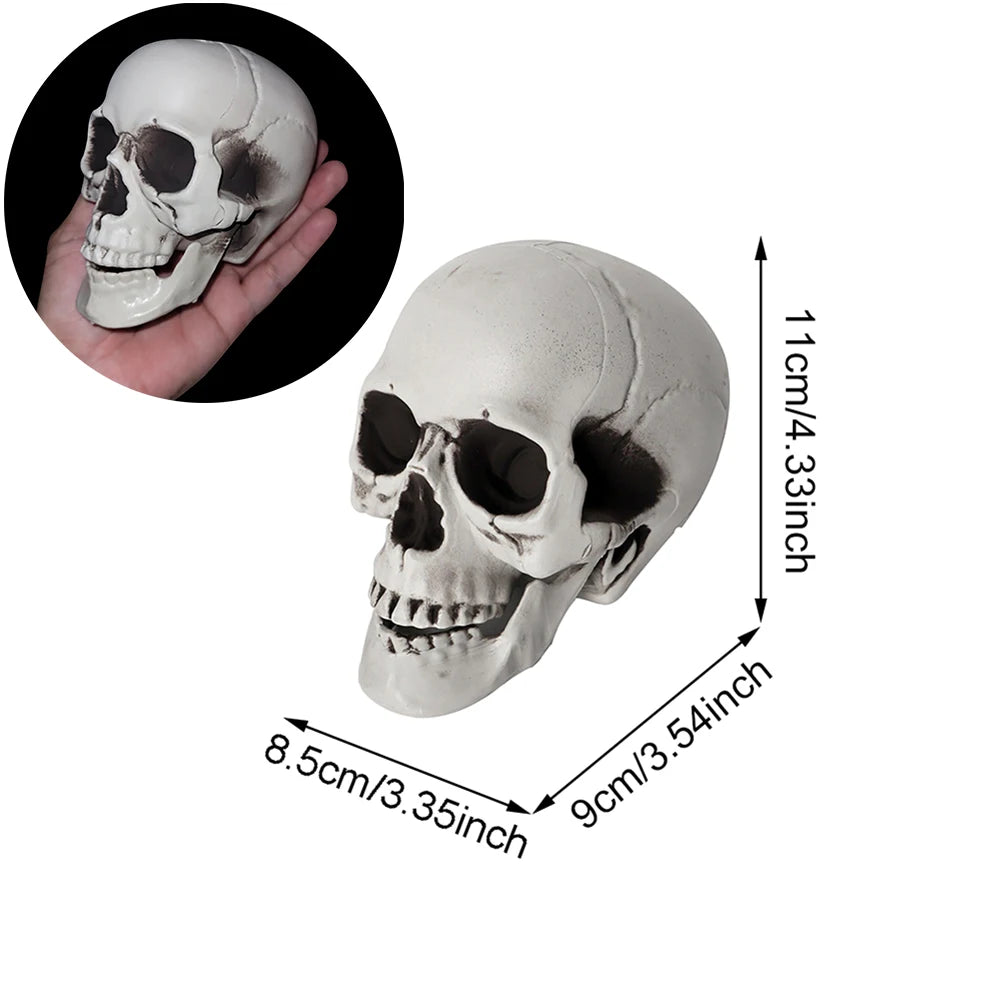 Halloween Skull Decoration,Realistic Plastic Skull,Head Skeleton,Halloween Party Home Yard Decoration,Haunted House Horror Props